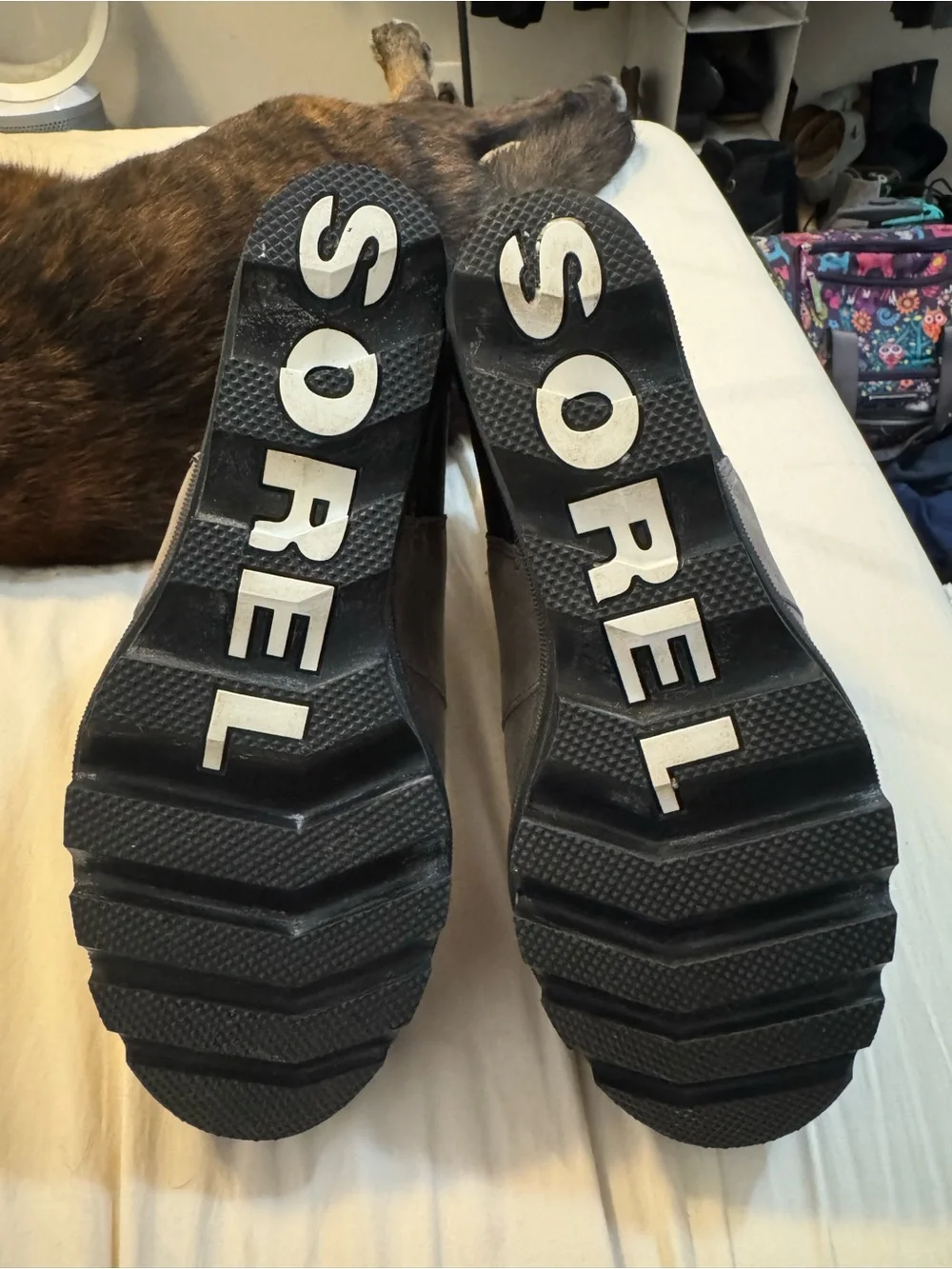 Sorel Two-Tone Chelsea Ankle Boot in Gray and Black